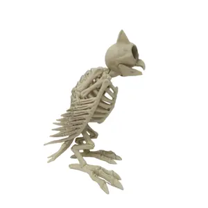 万圣节场景装饰着模拟可怕的动物骨骼，猫头鹰的全尺寸骨骼模型
