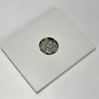 Panneau de plafond pour salle blanche en nid d'abeille d'aluminium certifié CE UL 1170x1170mm, fabrication en usine