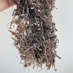 /O100% SSSAGAV/ la mejor opción - Product Image 1