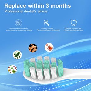 Tête <span class=keywords><strong>de</strong></span> <span class=keywords><strong>brosse</strong></span> <span class=keywords><strong>de</strong></span> rechange Cavzru compatible avec la <span class=keywords><strong>brosse</strong></span> à dents électrique <span class=keywords><strong>Philips</strong></span> <span class=keywords><strong>Sonicare</strong></span>, tête <span class=keywords><strong>de</strong></span> <span class=keywords><strong>brosse</strong></span> avec poils en nylon - Product Image 6