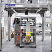 Su larga scala 3000L polvere di miscelazione detersivo/detersivo in polvere linea di produzione di polvere secca