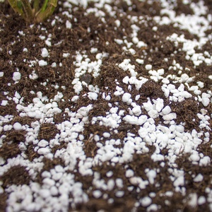 Perlite agricole de qualité supérieure en vrac, 50L 100L, pour l'horticulture, la culture et l'agriculture - Product Image 5