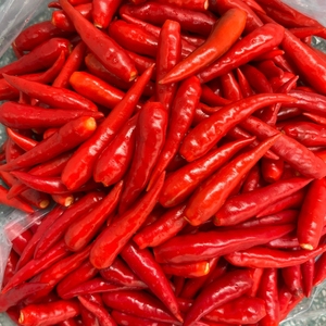 Exportación de Vietnam de calidad superior, sabor picante de Chile congelado directamente de la granja, especias y hierbas individuales en estilos frescos y secos - Product Image 6