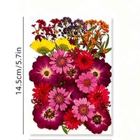 Lot de 40 fleurs séchées naturelles pressées, herbes séchées mélangées, fleurs et feuilles naturelles séchées et pressées pour la résine, pour l'art et le bricolage