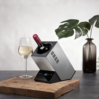 Refroidisseur de vin électrique pour cave à vin, refroidissement rapide, mini-refroidisseur de comptoir