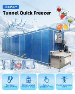 Congelador de túnel en espiral de baja temperatura Shepody con control de temperatura para congelación rápida de dumplings, maíz y zanahorias - Product Image 3