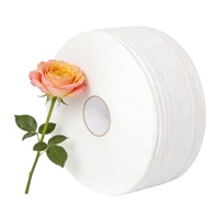 Papier toilette en rouleau jumbo de grande taille, échantillon gratuit, vente en gros, pour hôtels, 2/3/4 plis, 16 g x 2 plis, 110 mm H