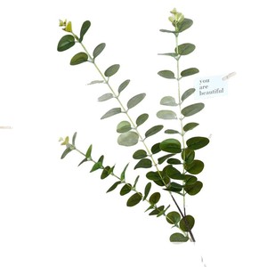 Plante artificielle en feuilles d'eucalyptus à branche unique 3D Trident, 30cm-100cm, décoration intérieure, moulage par injection plastique - Product Image 5