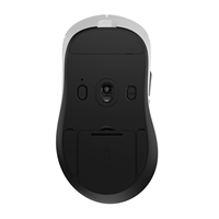 Souris personnalisée PAW3955 [ODM/OEM] pour droitier, 50000 DPI, puce Nordic54L15 8 kHz, prise en charge de la personnalisation du LOGO/logiciel/couleur