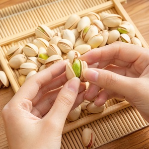 Pistachos Tostados Naturales Premium con Cáscara, Pistachos Verdes Secos a Granel, Grado A, 10 kg, Listos para Comer - Product Image 4