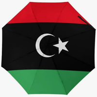 Parapluie pliant entièrement automatique Mali Easy Wipe, anti-salissure, motif drapeau culturel, style thématique national