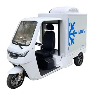 2023 Nieuwe Hot Selling 3000W Motor Elektrische Cargo Trike/Elektrische 3-wielige Scooter/Elektrische Bestelwagen Met Eec