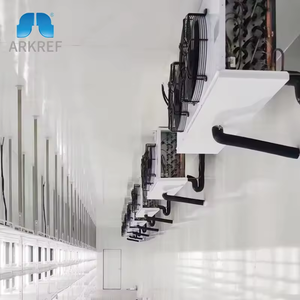 Cho đi bộ trong Cooler lạnh Modular <span class=keywords><strong>container</strong></span> 40hq 20ft tùy chỉnh thịt & rau lưu trữ với động cơ - Product Image 2