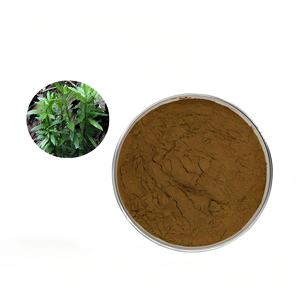 مسحوق Huperzine وملحق Huperzine مع مسحوق Huperzine لمنتجات صحة الدماغ - Product Image 2