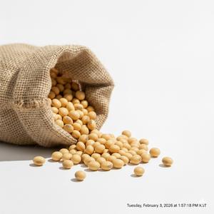 TW Glycine Soja PDRN Complejo Nutritivo Premium Derivado de Plantas para Materia Prima Cosmética, Reparación de la Piel y Cuidado Hidratante - Product Image 3