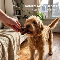 Vente en gros : Os de queue de bœuf 100 % séché à l'air, friandises naturelles pour chiens, riches en protéines, certifiées BRC, non biologiques, durée de conservation de 18 mois, saines