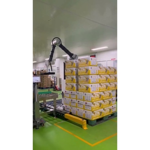 Nouvelle boîte à prix compétitif Robot bras palettiseur Machine de palettisation robotique coopérative PLC boîte de vitesses moteur Robots articulés - Product Image 6