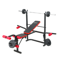 Presse de banc en métal réglable de vente chaude équipement de gymnastique de haute qualité avec des bancs et des supports de forme physique d'extension de jambe