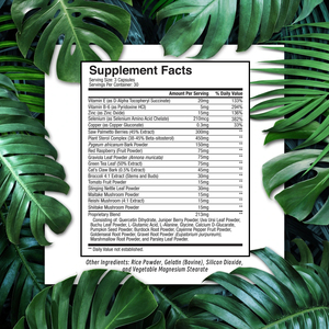 Capsules de soutien de la prostate à prix direct usine avec vitamine E antioxydante – Formule de soutien de la santé de la prostate pour une meilleure fonction de la vessie - Product Image 2