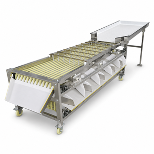 Máquina Clasificadora de Frutas y Verduras Redondas Pequeñas con Cinta Transportadora de Acero Inoxidable para Procesamiento de Alimentos - Product Image 1