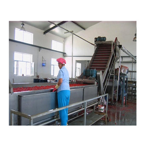 Industrial Bulk Passion Fruit Pulp Processing Production Line Fruit Production Line - Product Image 2