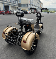 Triciclo Eléctrico de 3 Ruedas 2026 con Envío Gratis, Triciclo Eléctrico con Neumáticos de Vacío de 10 Pulgadas, Carrocería Cerrada, Velocidad de 50 km/h, Chopper Trike
