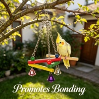 Balancelle suspendue minimaliste et moderne pour perroquet, construction légère, clochettes sonores claires, jouet d'enrichissement pour oiseaux, utilisable en intérieur et en extérieur