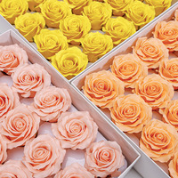 Aierflorist Têtes de roses en savon Manta de 6 cm, fleurs réalistes préservées, bords frisés, artisanat floral fait main, 25 tiges par boîte