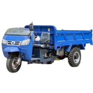 Xe Ba Bánh Diesel Mini Công Suất Tải 3 Tấn 4 Tấn Ba Bánh Xe Đẩy Xe Ba Bánh