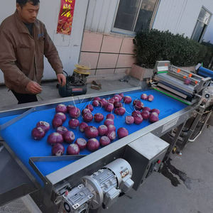 Máquina para Producción de Aros de Cebolla, Máquina para Quitar la Piel de la Cebolla, Línea de Freír Cebolla - Product Image 3