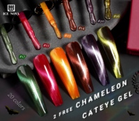Hema Free Chameleon Cateye Gel – Vernis à ongles magnétique effet œil de chat personnalisé en gros – 20 couleurs – Kit de vernis gel effet œil de chat et gelée pastel