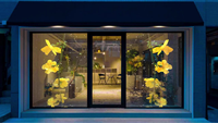 Écran LED holographique flexible P6.25, film LED haute transparence, adhésif pour fenêtre en verre, affichage LED intérieur, mur vidéo holographique 3D