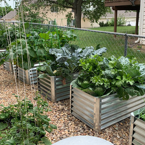 Lits <span class=keywords><strong>de</strong></span> <span class=keywords><strong>jardin</strong></span> surélevés en métal avec cages à tomates, jardinière modulaire pour patio, arrière-cour, légumes et herbes (ovale) - Product Image 6