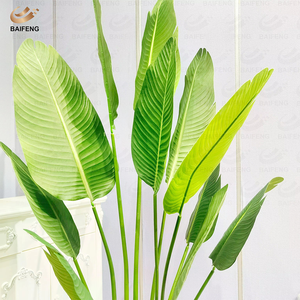 <span class=keywords><strong>Planta</strong></span> Artificial de Plástico PE Personalizada de Fábrica, <span class=keywords><strong>Planta</strong></span> en Maceta de Plátano/<span class=keywords><strong>Canna</strong></span>, Decoración Interior/Exterior, Ecológica, Perenne y Duradera - Product Image 2
