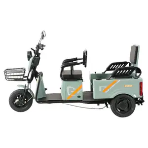 دراجة كهربائية ثلاثية العجلات لنقل البضائع عالية الحمل 600 وات 48 فولت تسليم سريع