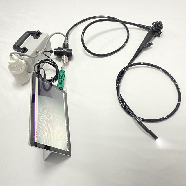 Manufacturer Digital Flexible Endoscopy Ureteroscope/Cystoscope/gastroscope/colonoscope/ENT Endoscope/laryngoscope