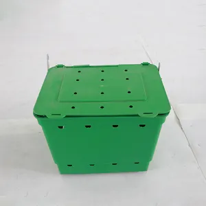 10 Sets/Dozen Konijn Voerbox Plastic Konijn Nest Doos