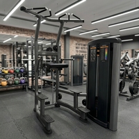 Machine de traction assistée commerciale multi-positions pour dips et tractions, barre de traction en acier nu de 3 mm, robuste pour salle de sport, distributeur recherché, CE ISO