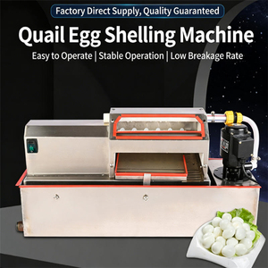 Machine à peler les œufs commerciale, électrique et automatique, pour œufs de caille et de canard, idéale pour les restaurants et cuisines, directement de l'usine - Product Image 3