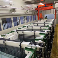 Équipement chromé pour galvanoplastie or Kits de finition des métaux Placage électrique Galvan Machine Lignes automatiques suspendues