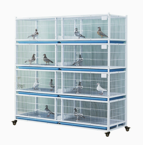 Gabbia Professionale per l'Abbinamento dei Piccioni Viaggiatori, Tubo Quadrato Rinforzato, Gabbia Multistrato Anti-roditore per l'Allevamento - Product Image 1