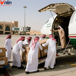 Vnlin Top10货代上门物流服务空运 + 快递海运实时跟踪免税清关 - Product Image 1