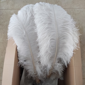 <span class=keywords><strong>Plumes</strong></span> <span class=keywords><strong>d</strong></span>'<span class=keywords><strong>autruche</strong></span> blanches teintées et duveteuses, Plumas De Avestruz, centre de table de 70 <span class=keywords><strong>cm</strong></span> pour <span class=keywords><strong>d</strong></span>écorations de table de mariage - Product Image 1