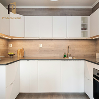 Ensemble de meubles de cuisine modernes haut de gamme en placage de bois laqué brillant pour projet de villa, écologique avec évier