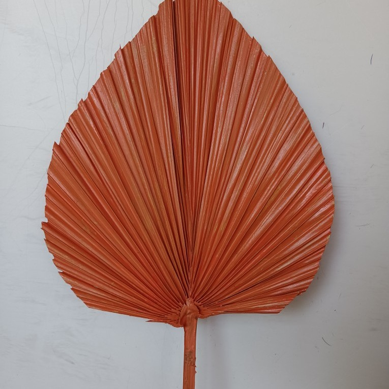 มณฑลเบอร์กันดี