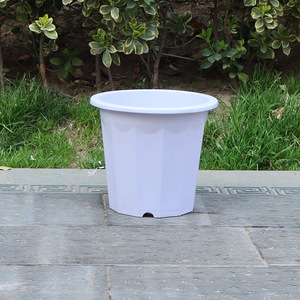 Pots de fleurs d'orchidées en plastique transparent bon marché avec trous pots d'orchidées transparents trous paniers en plastique transparent pots suspendus - Product Image 5