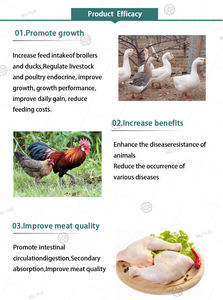 Stimulant Immunitaire pour Volailles : Vitamines Animales pour la Maturisation du Système Immunitaire et Booster de Croissance pour Poulets de Chair - Product Image 5