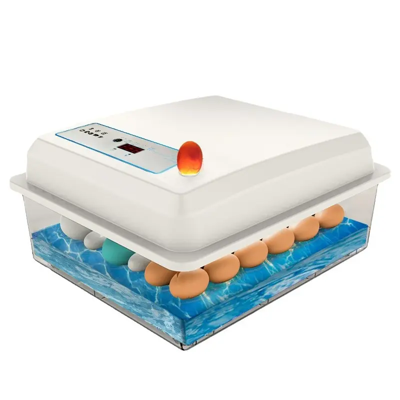 Super affordable small home incubator chick duck goose egg incubator price