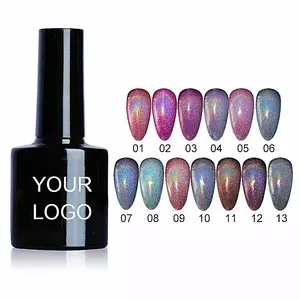 Wholesale nail polishes 13 colors magnetic rainbow cat eye gel with free samples