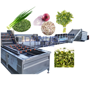 Machine complète de lavage, découpe et séchage de légumes pour oignon vert, échalote, ciboulette, poireau - Product Image 1